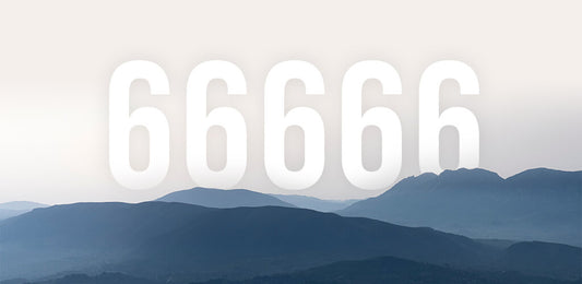 Angel Numbers 66666