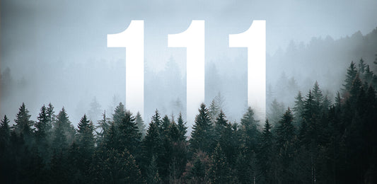 Angel Numbers 111