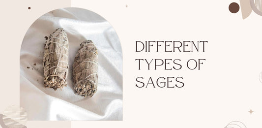 types of sage