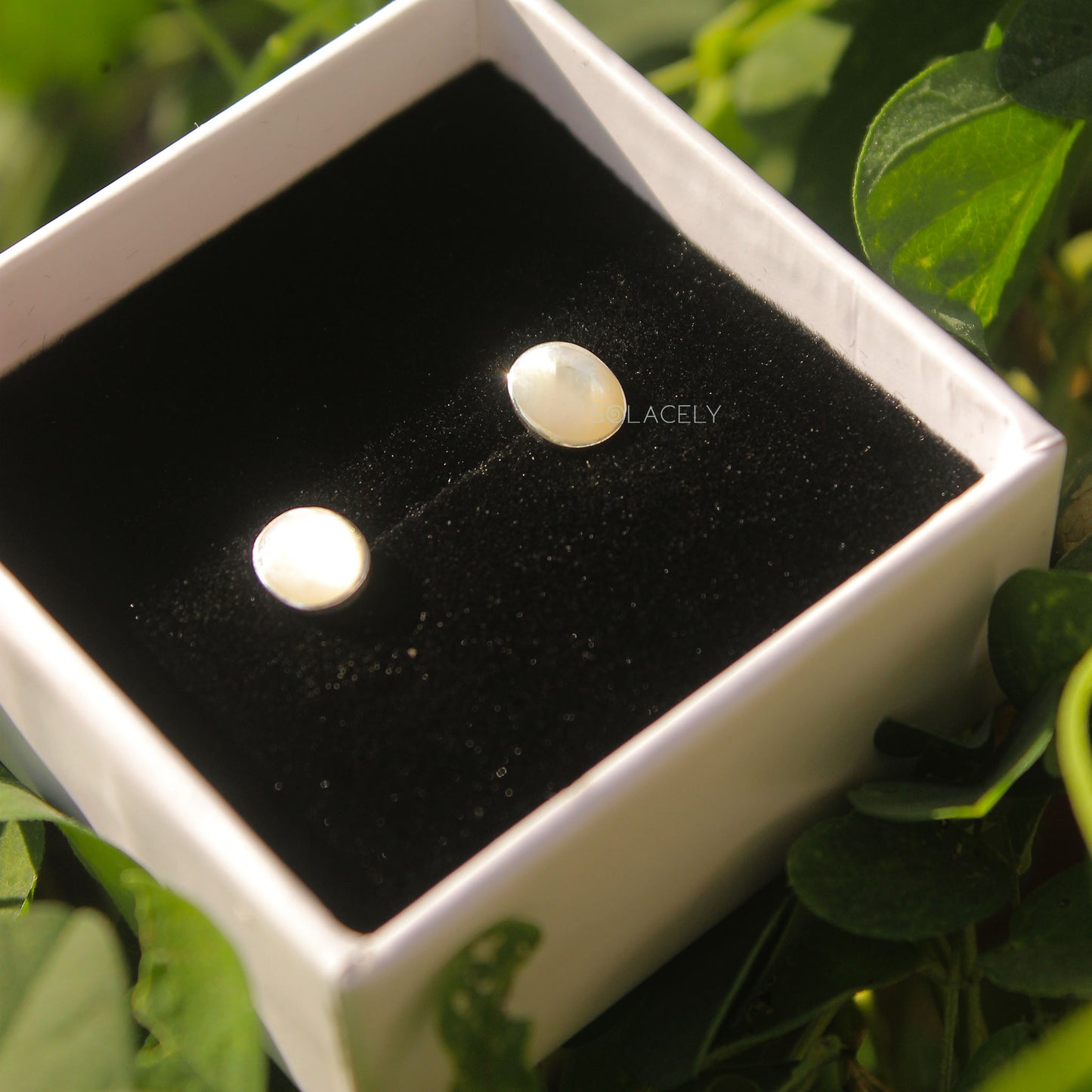 Shell Sterling Silver Stud Earrings