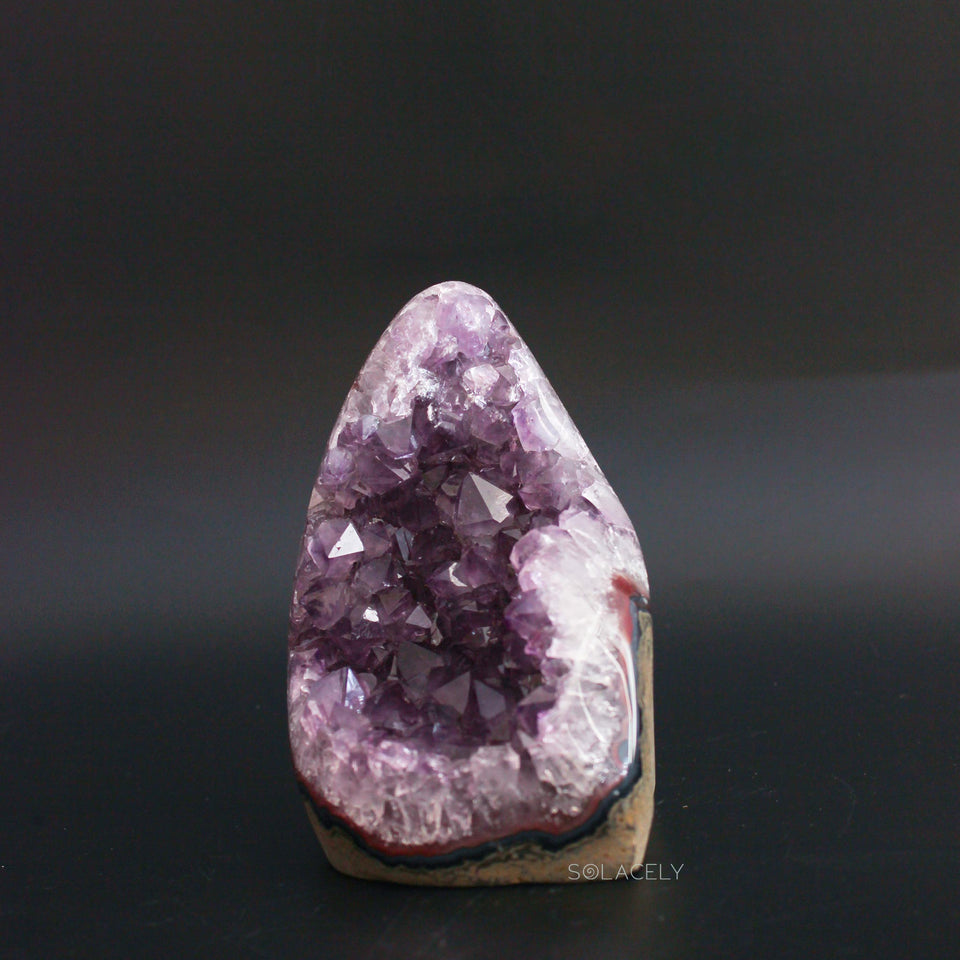 Amethyst Mini Geodes