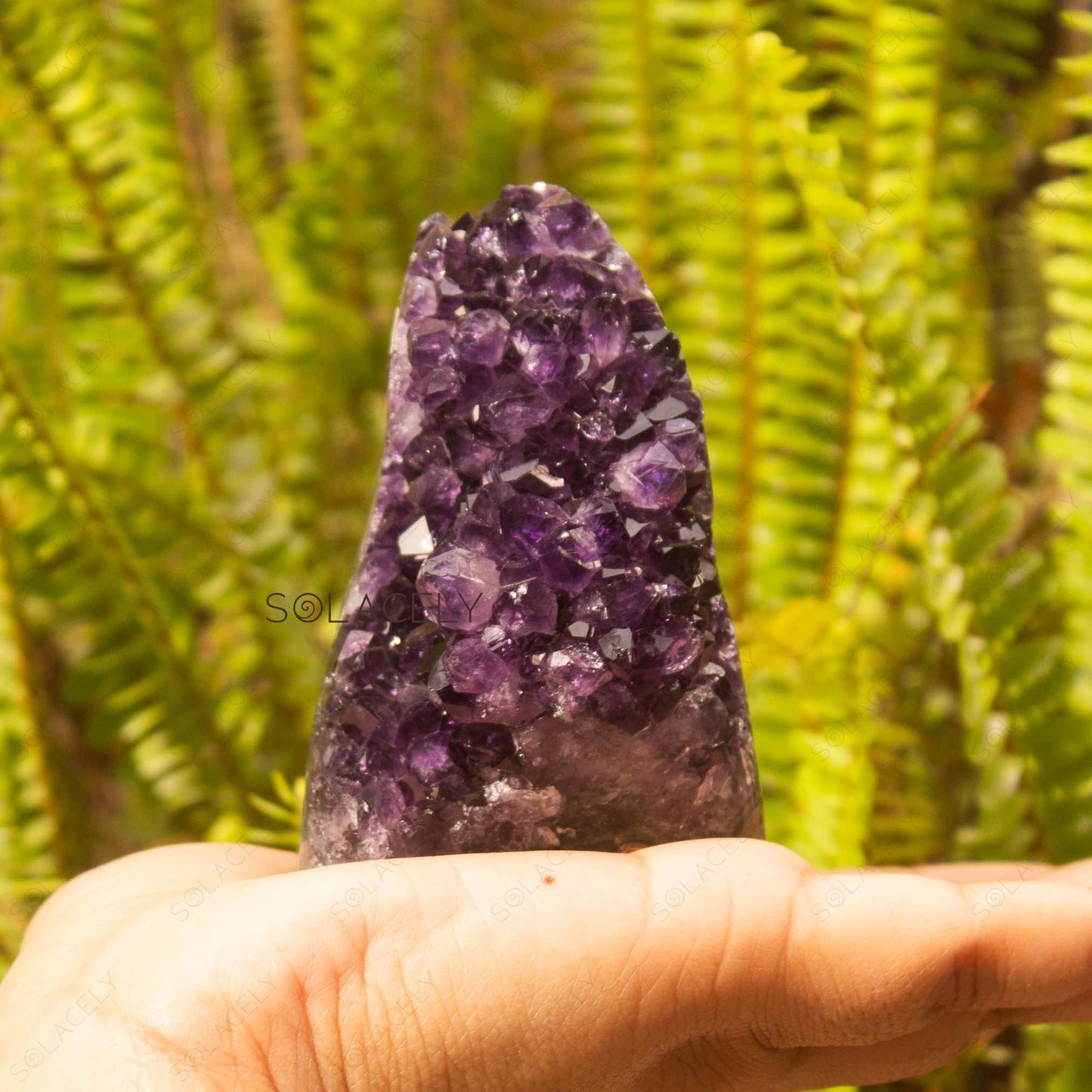 amethyst gedoge