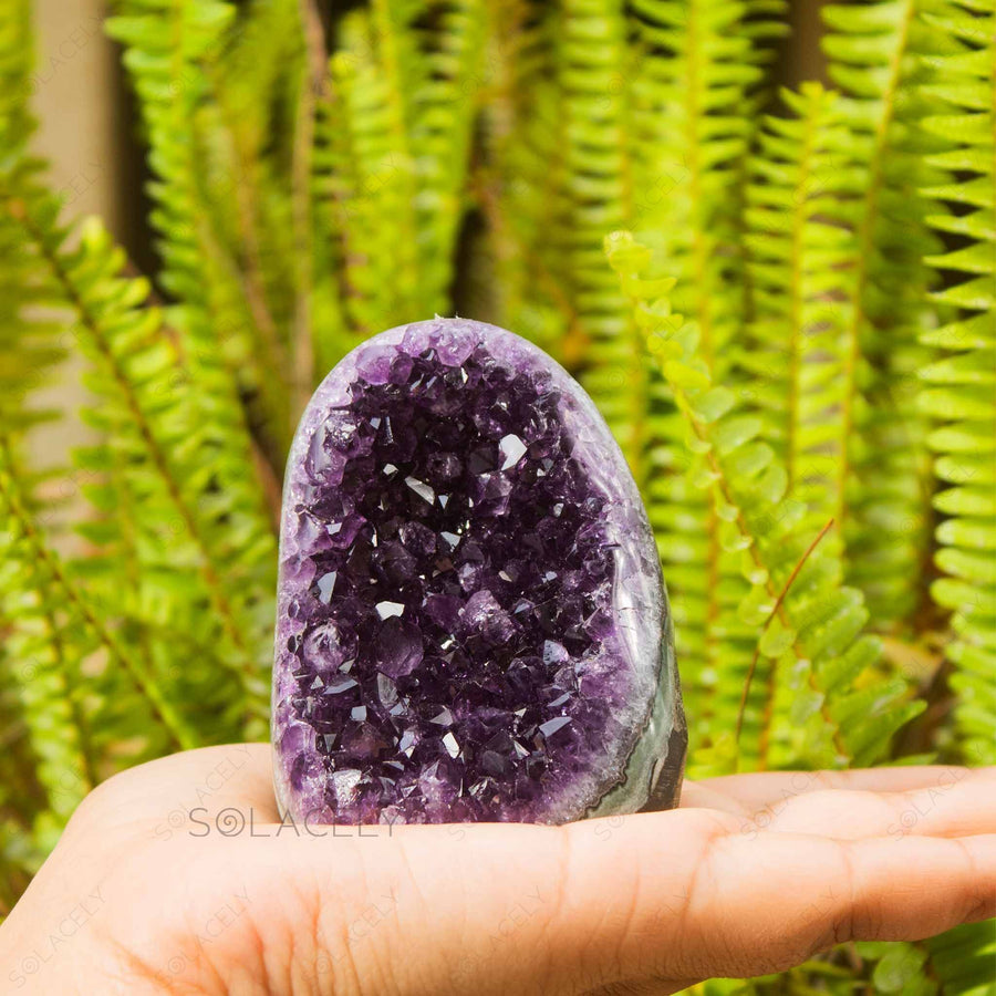 amethyst standing geode 251g