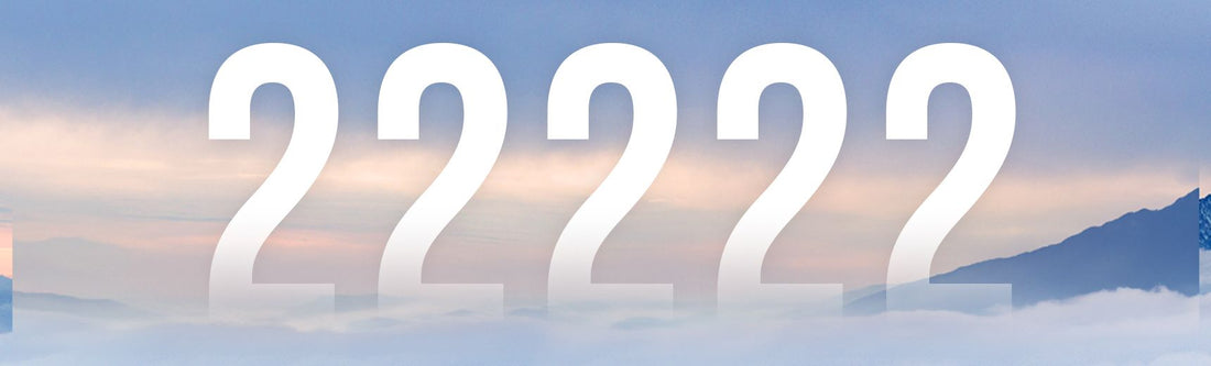 Numerology of 22222
