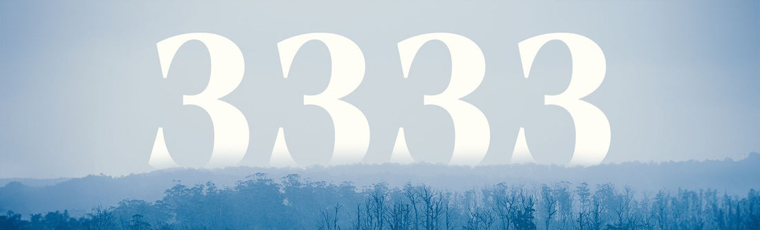 Numerology of 3333