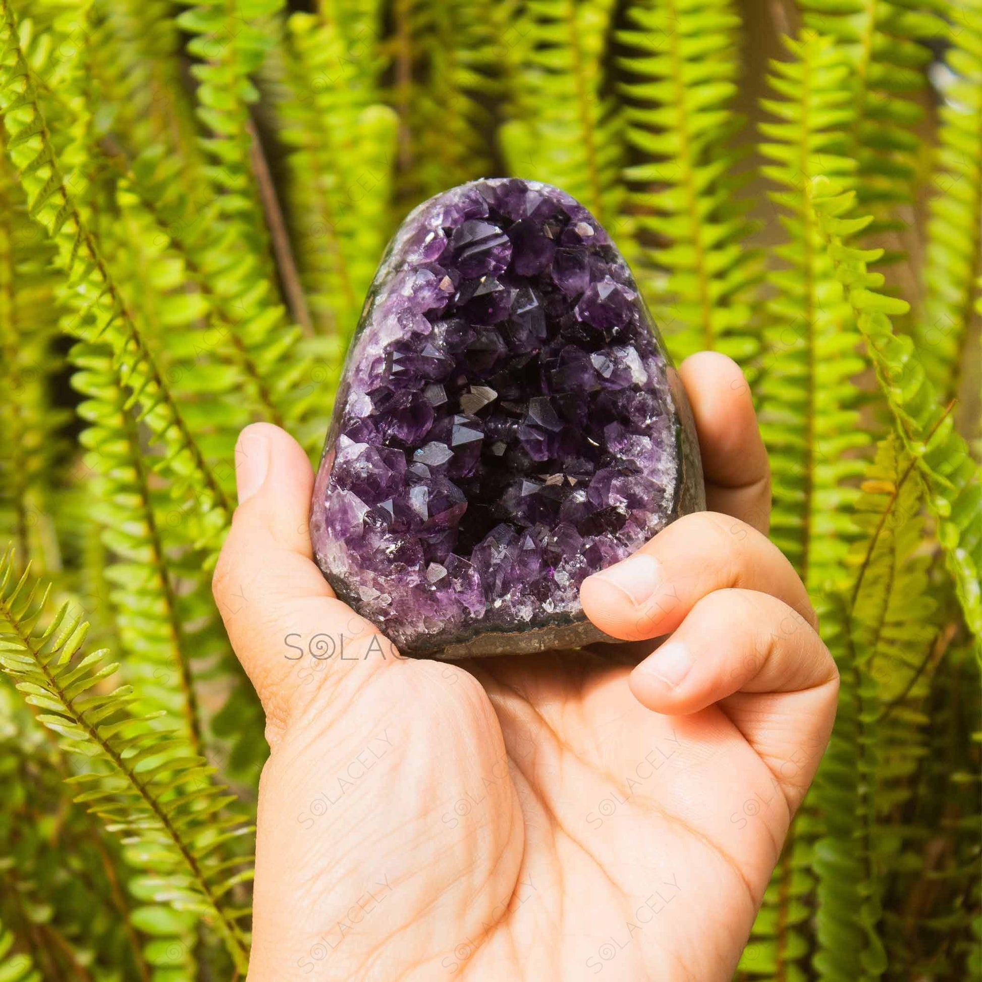 luxurious 355g amethyst geode cluster with aaa plus quality